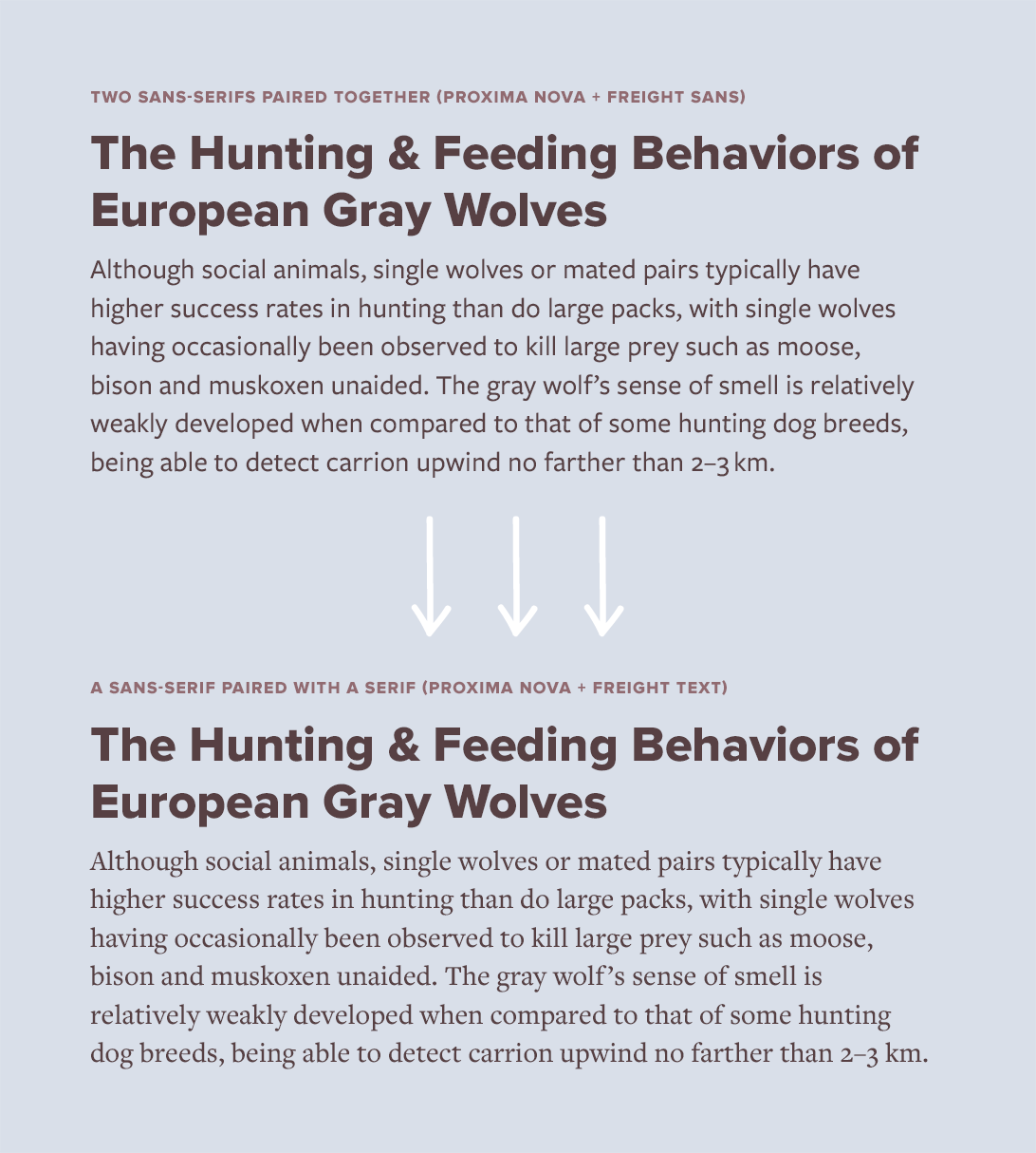 Pairing two sans-serifs vs pairing a sans-serif and serif